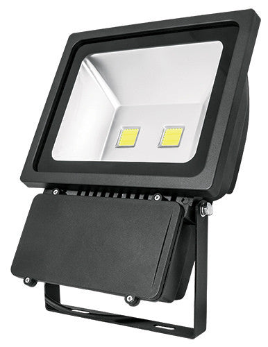 REFLECTOR DE LED DE 100W