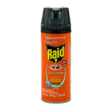 RAID CASA Y JARDIN CHICO