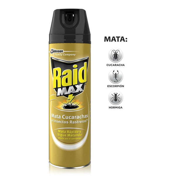 RAID MAX AEROSOL CHICO